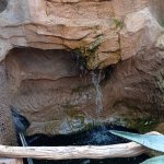 phoca_thumb_m_tropic zajici 16 Fotogalerie
